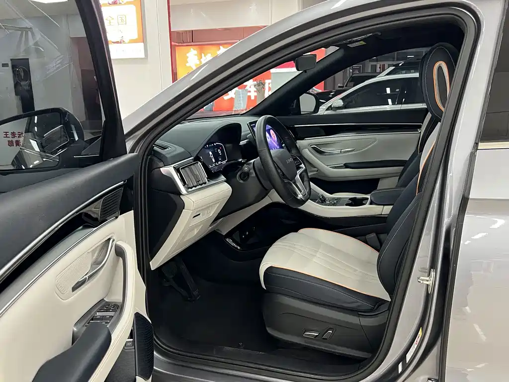 BYD PLUS New Energy — фото 7