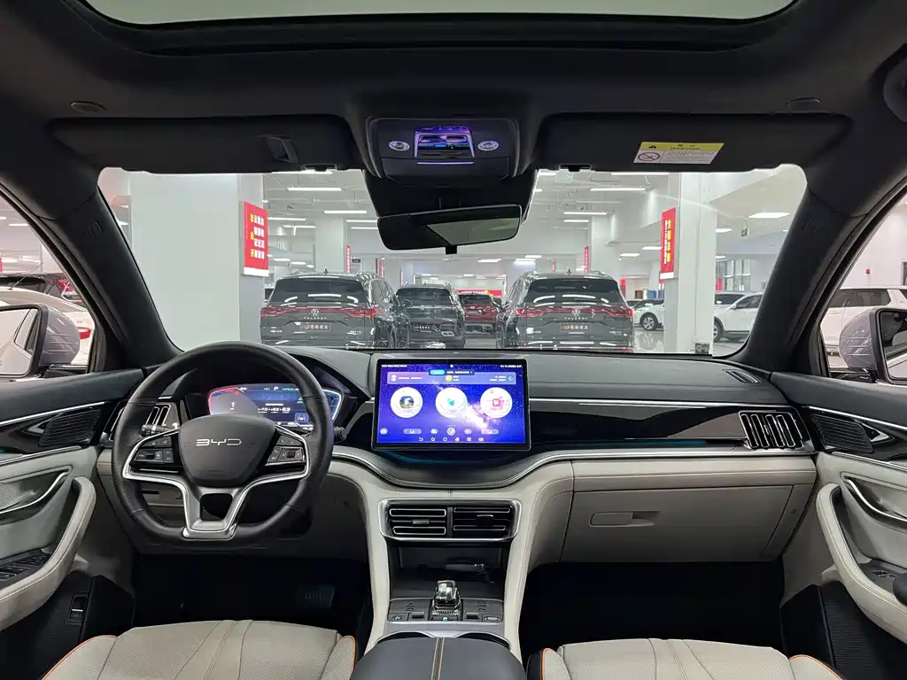 BYD PLUS New Energy — фото 8