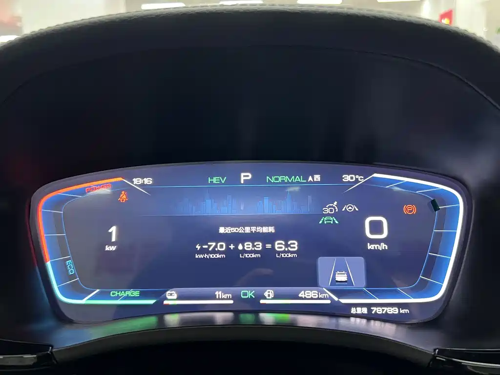 BYD PLUS New Energy — фото 10