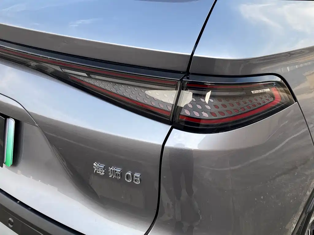 BYD Sealion 05 DM-i — фото 16