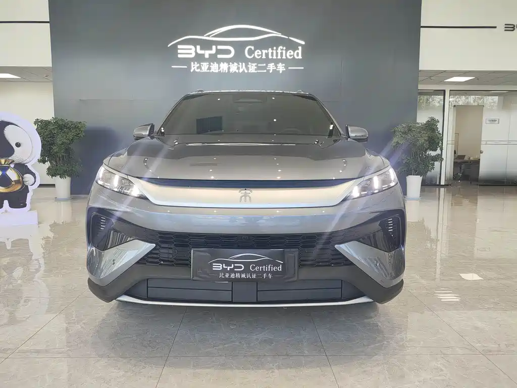 BYD Pro New Energy — фото 2