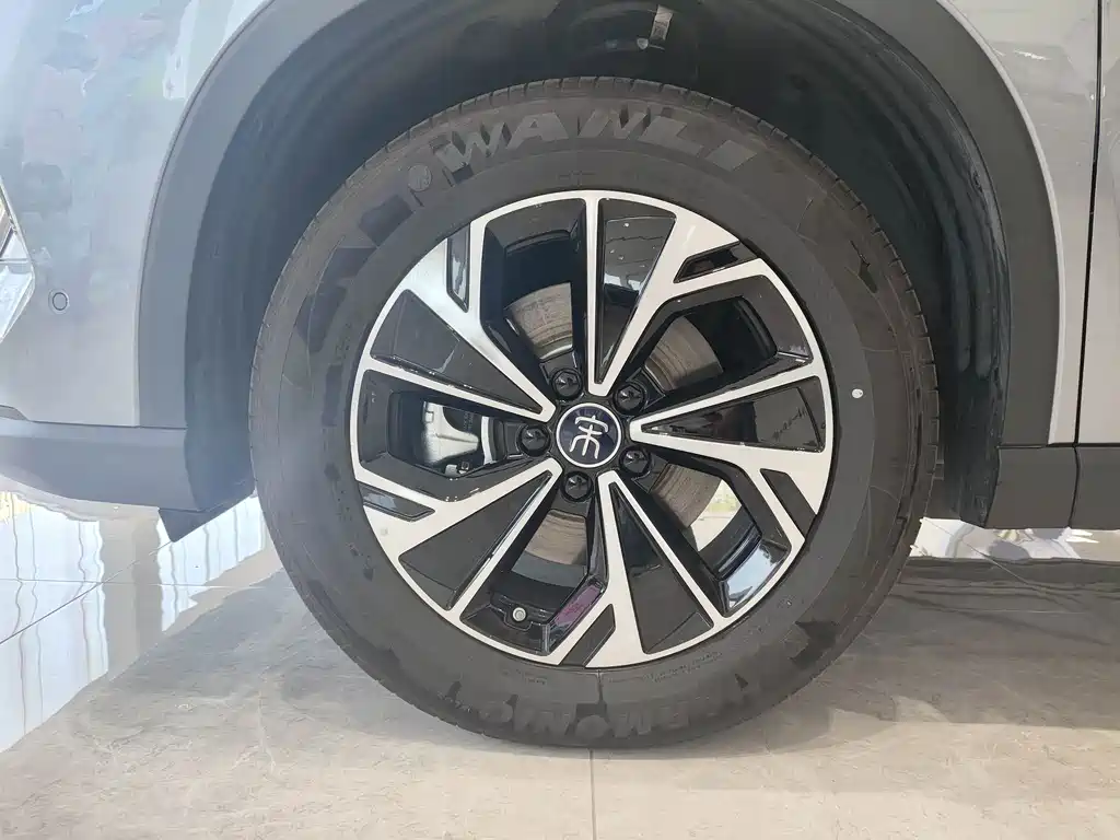 BYD Pro New Energy — фото 15