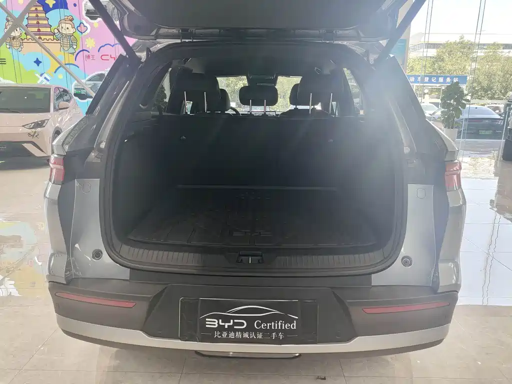 BYD Pro New Energy — фото 16