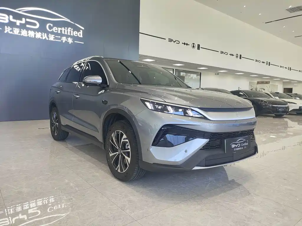 BYD Pro New Energy — фото 3
