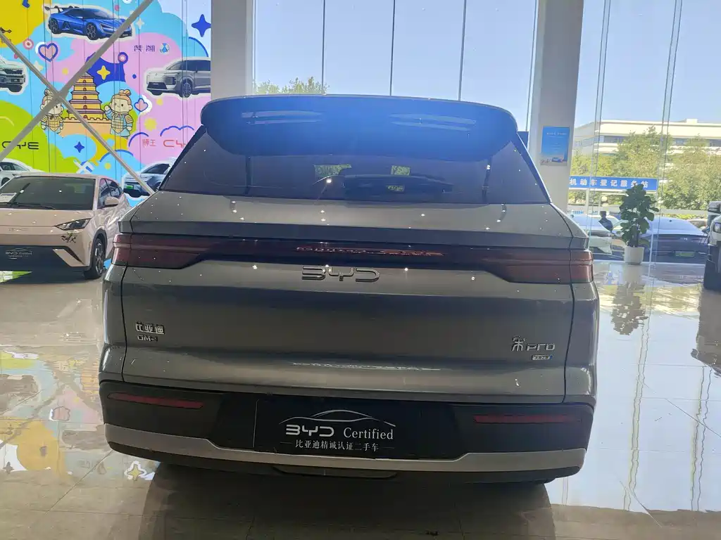 BYD Pro New Energy — фото 6