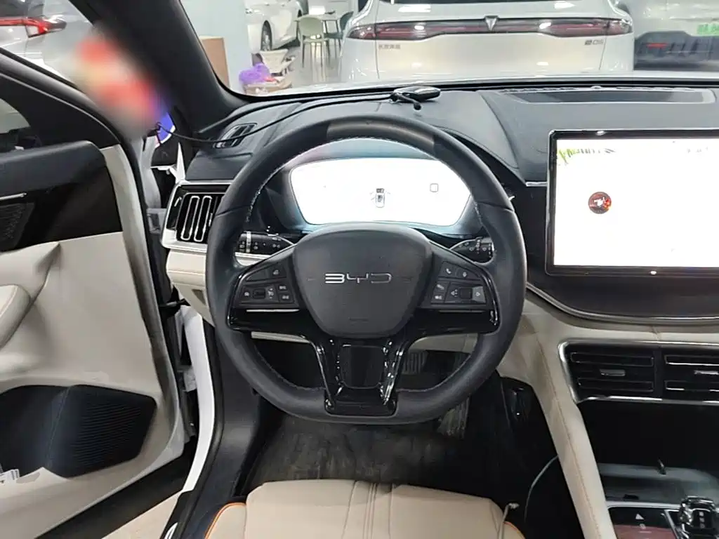 BYD PLUS New Energy — фото 11