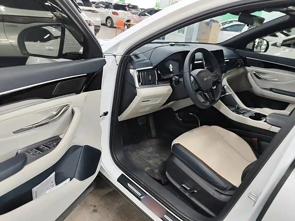 BYD PLUS New Energy — фото 16