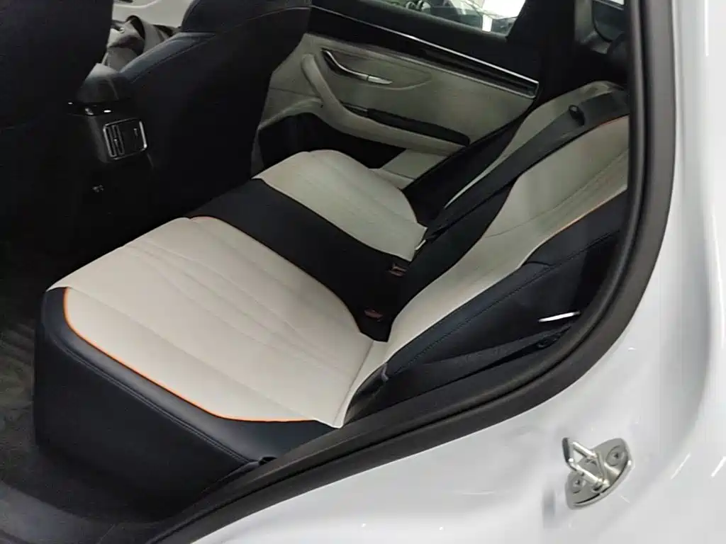 BYD PLUS New Energy — фото 17
