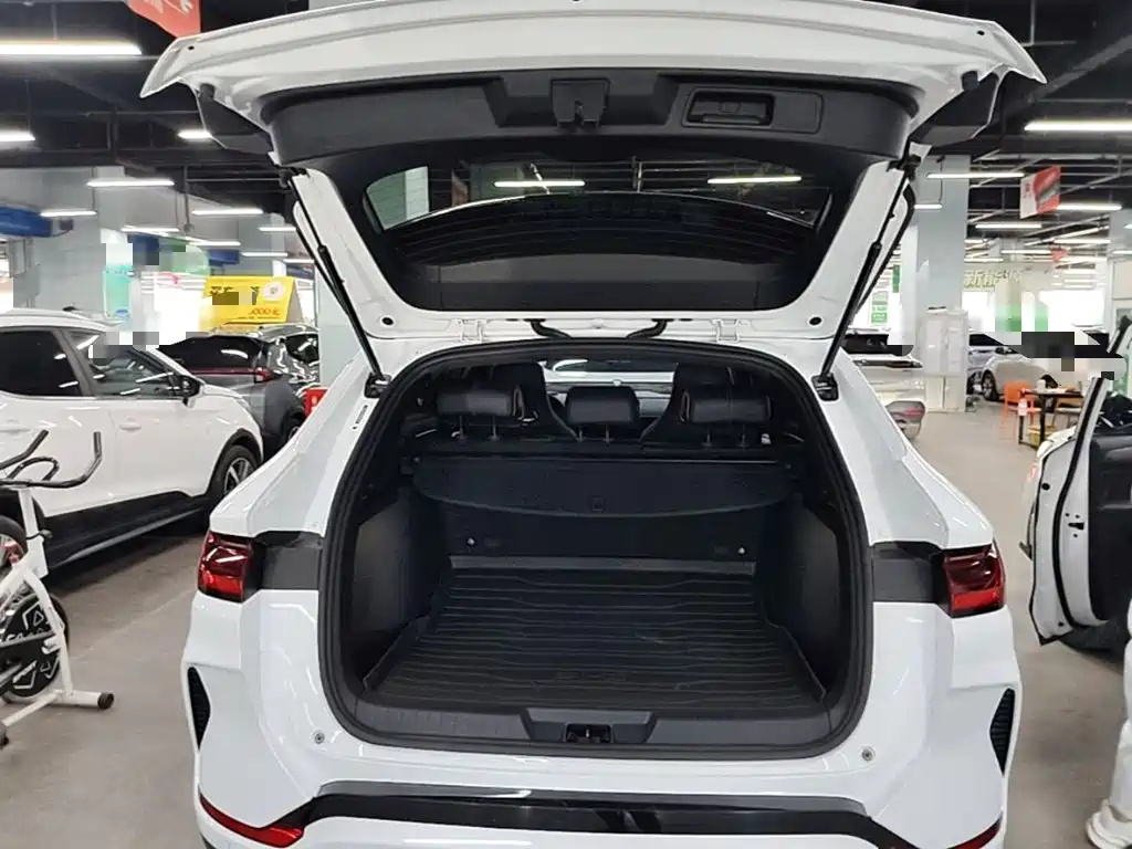 BYD PLUS New Energy — фото 19
