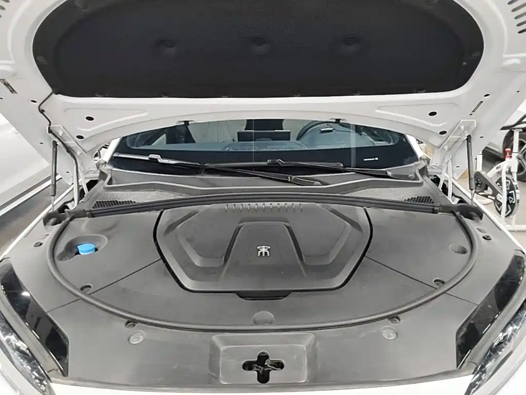 BYD PLUS New Energy — фото 20