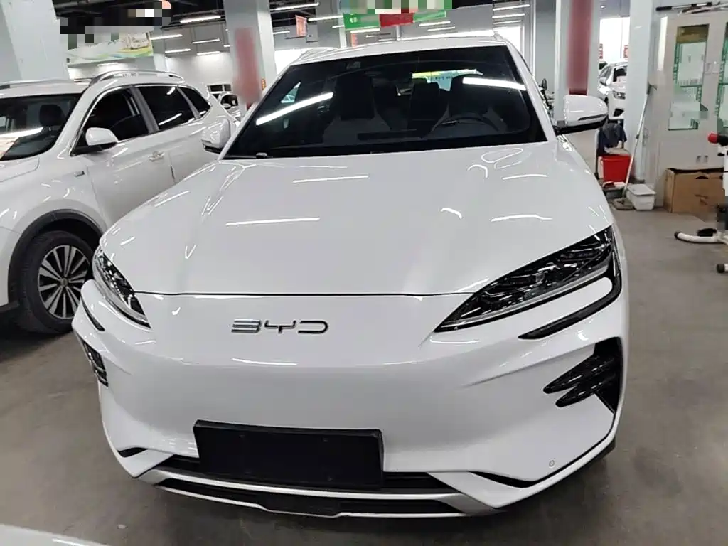 BYD PLUS New Energy — фото 3