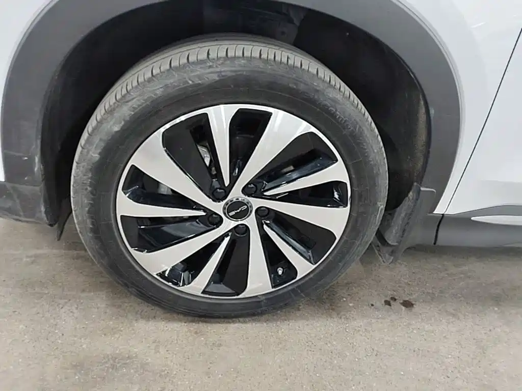 BYD PLUS New Energy — фото 23