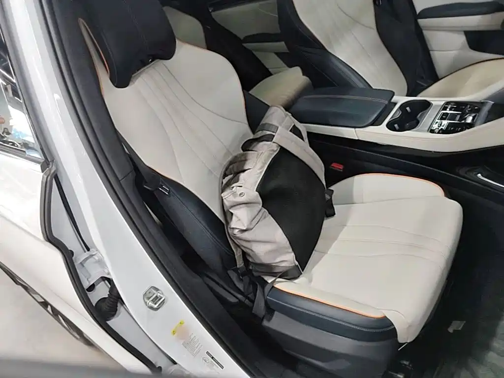 BYD PLUS New Energy — фото 25