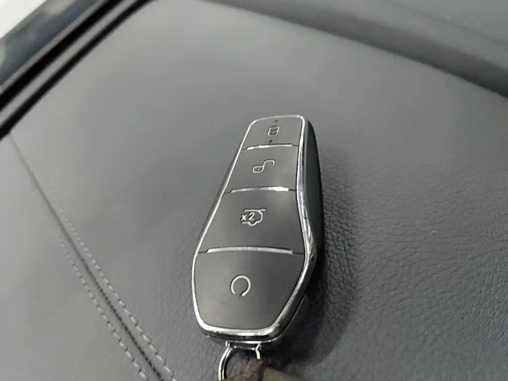 BYD PLUS New Energy — фото 9