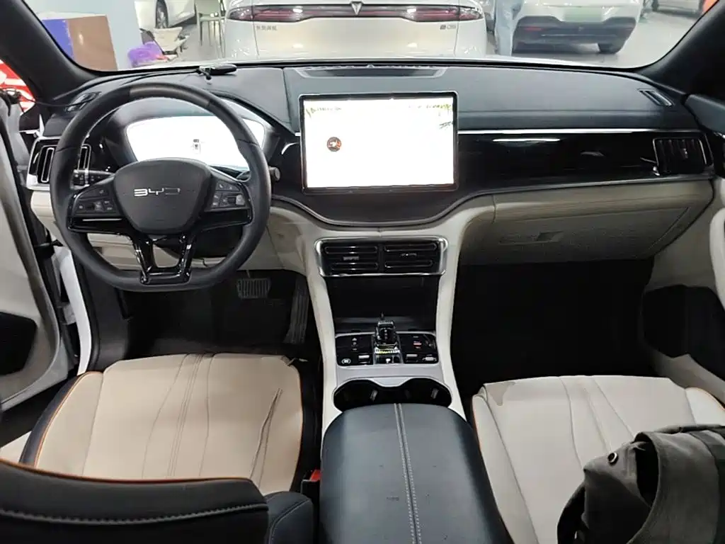 BYD PLUS New Energy — фото 10