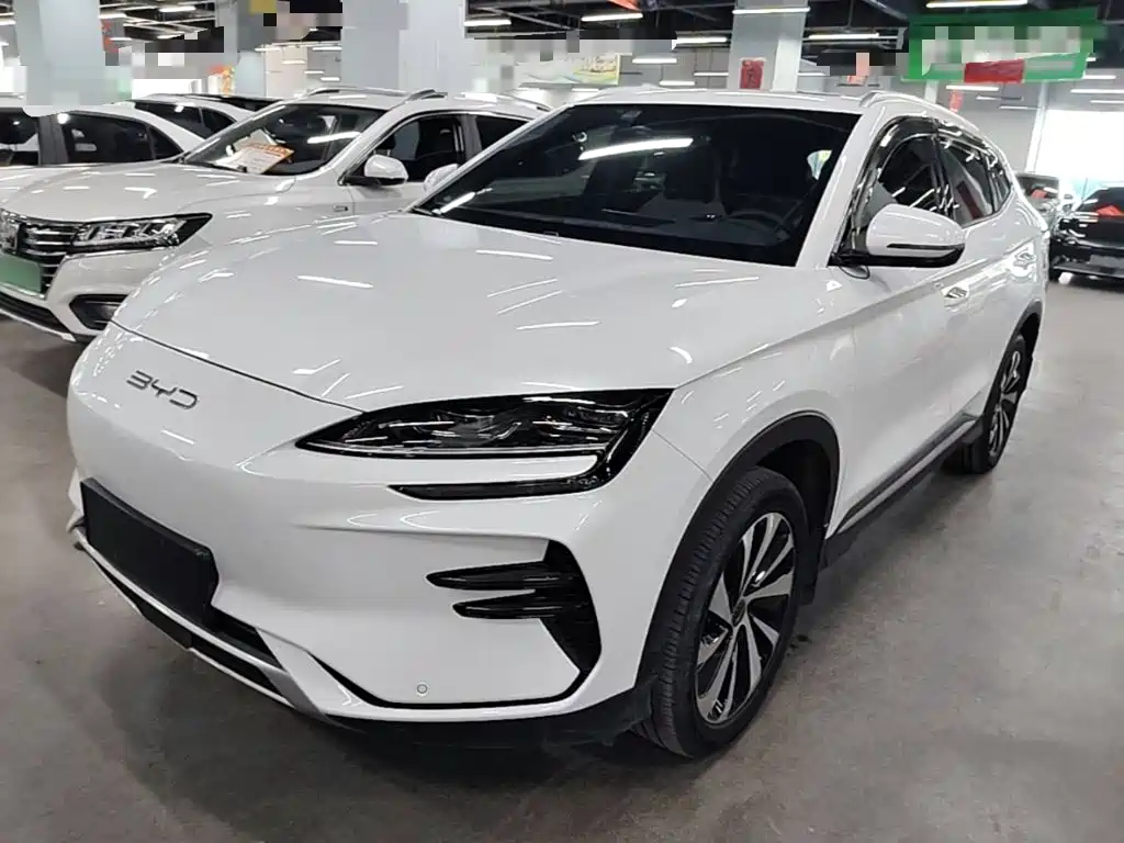 BYD PLUS New Energy