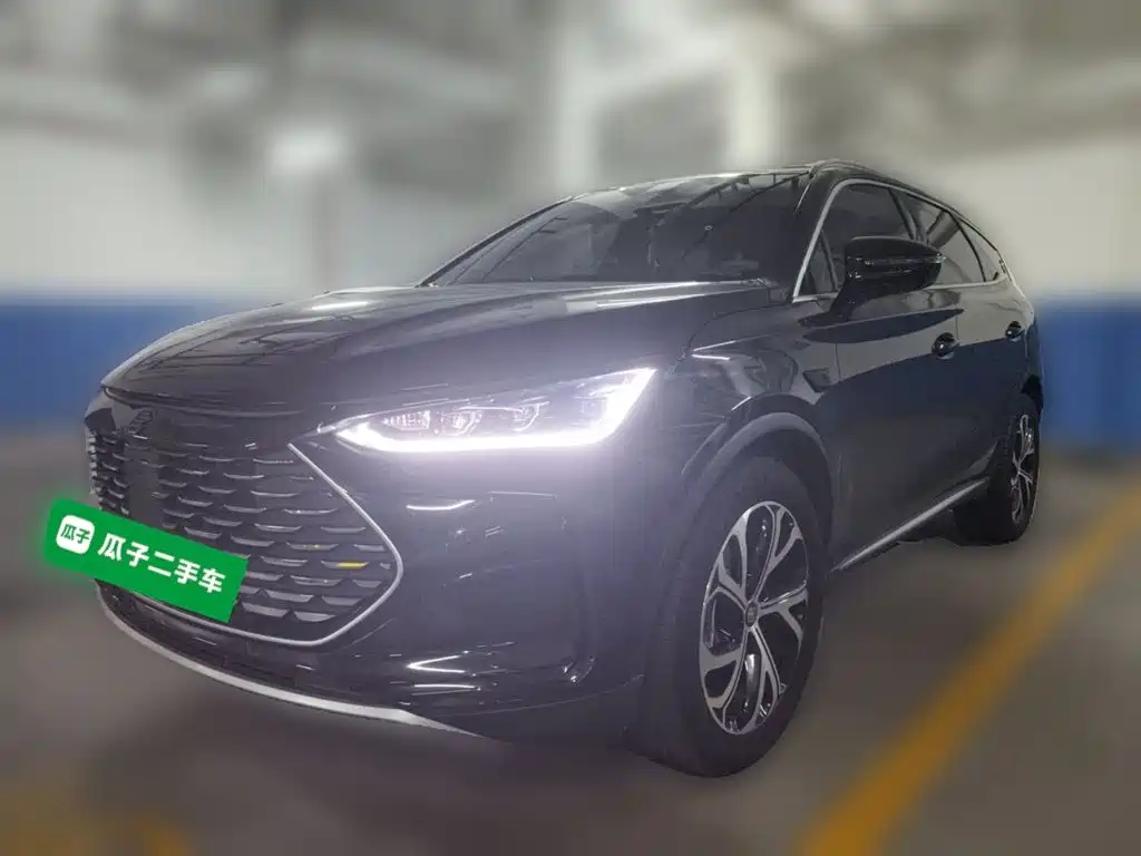 BYD Tang New Energy — фото 2