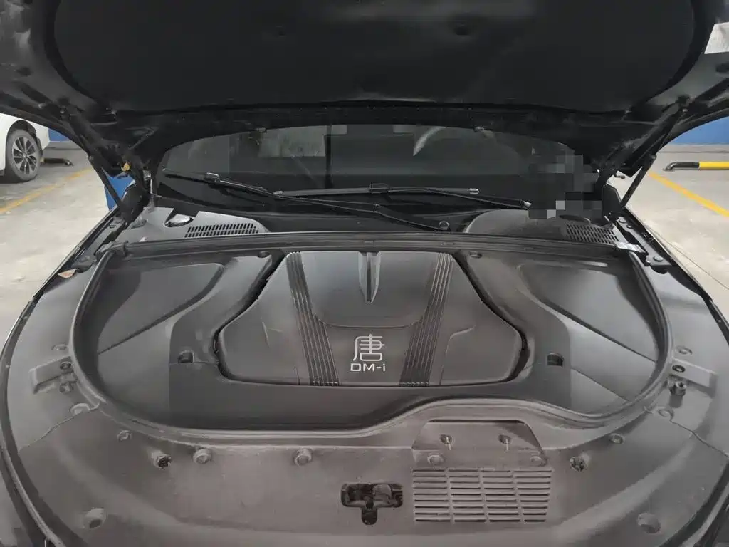 BYD Tang New Energy — фото 11