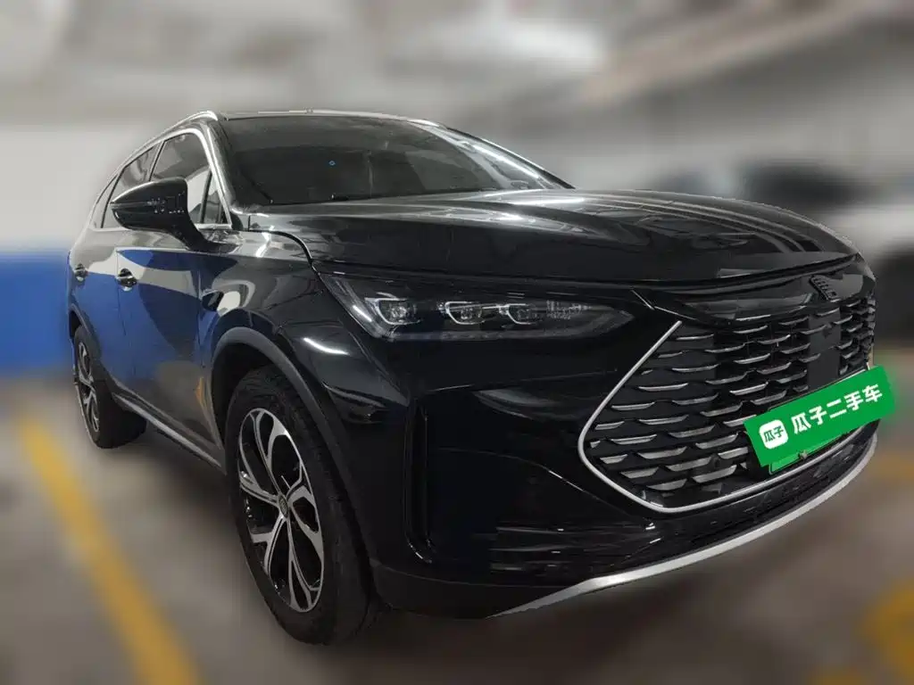 BYD Tang New Energy — фото 24