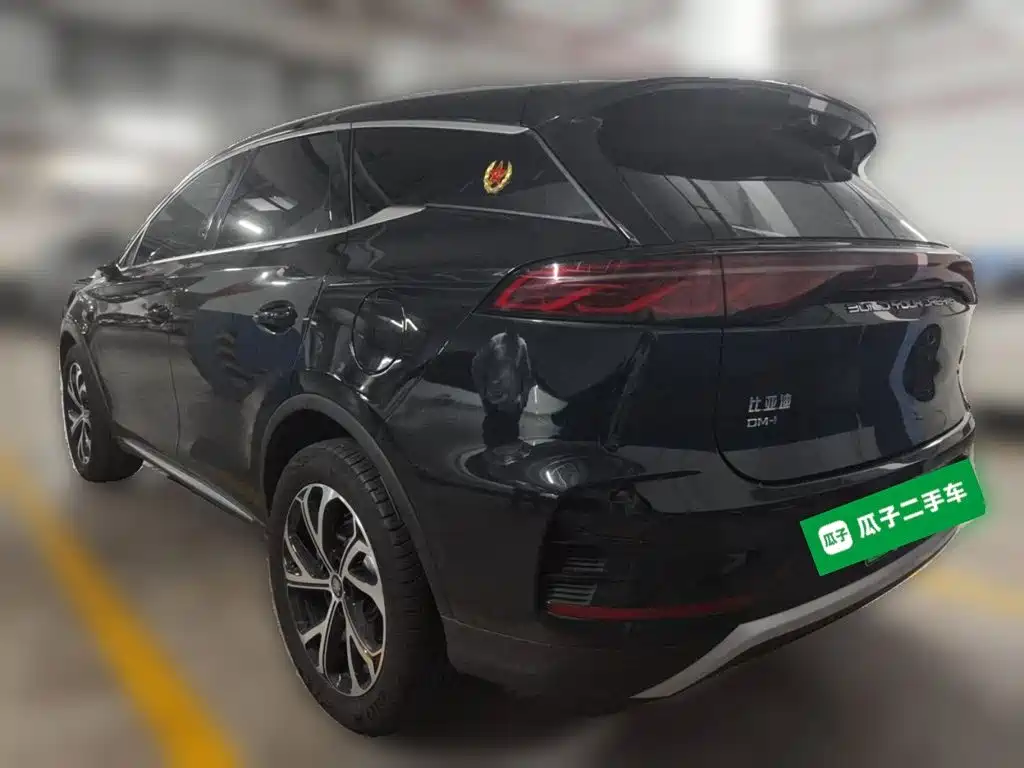 BYD Tang New Energy — фото 25