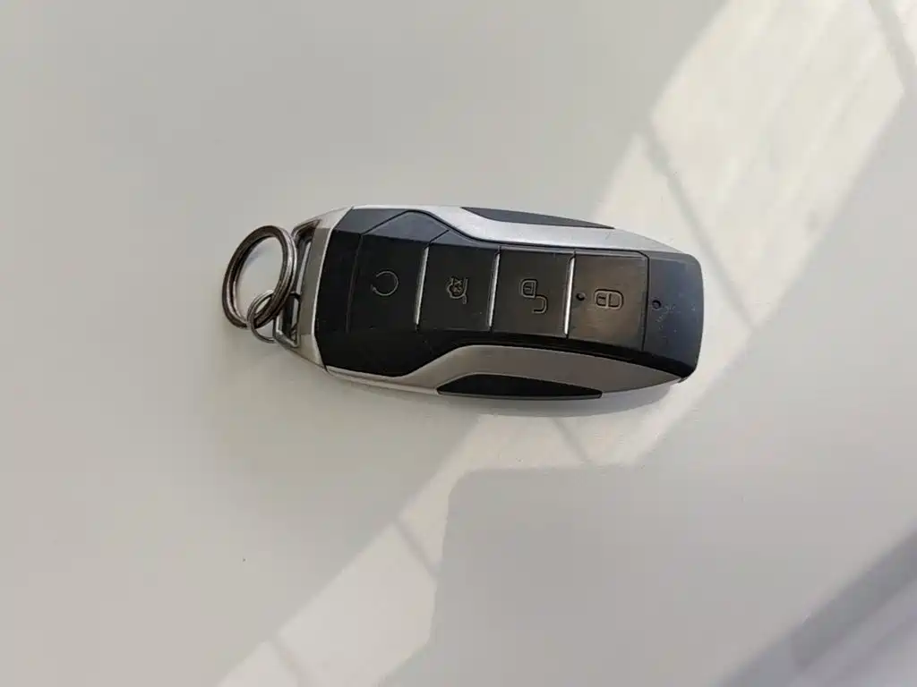 BYD Pro — фото 9