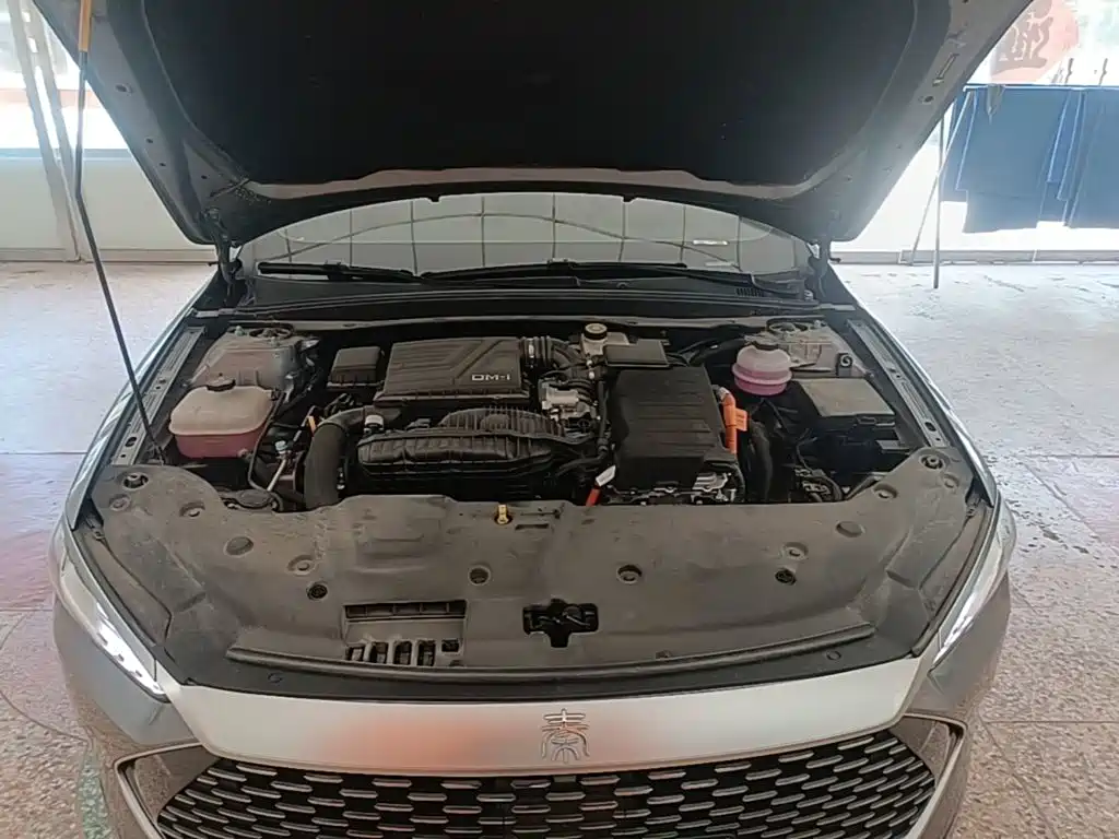 BYD Qin PLUS — фото 20