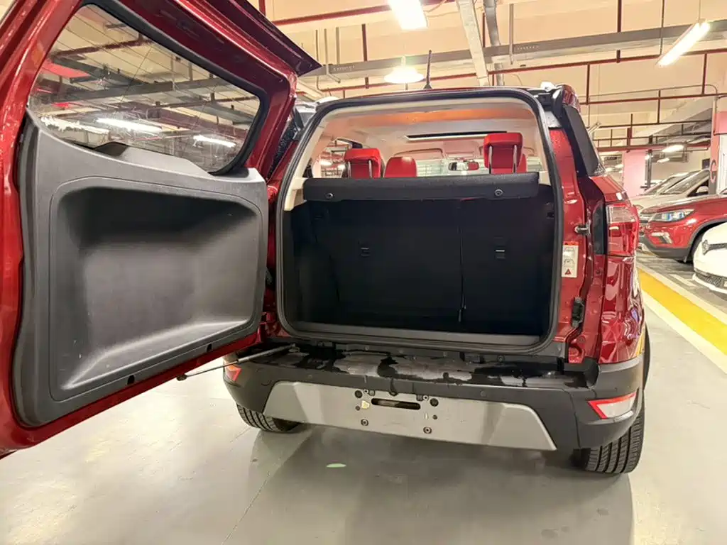 Ford Ecosport — фото 18