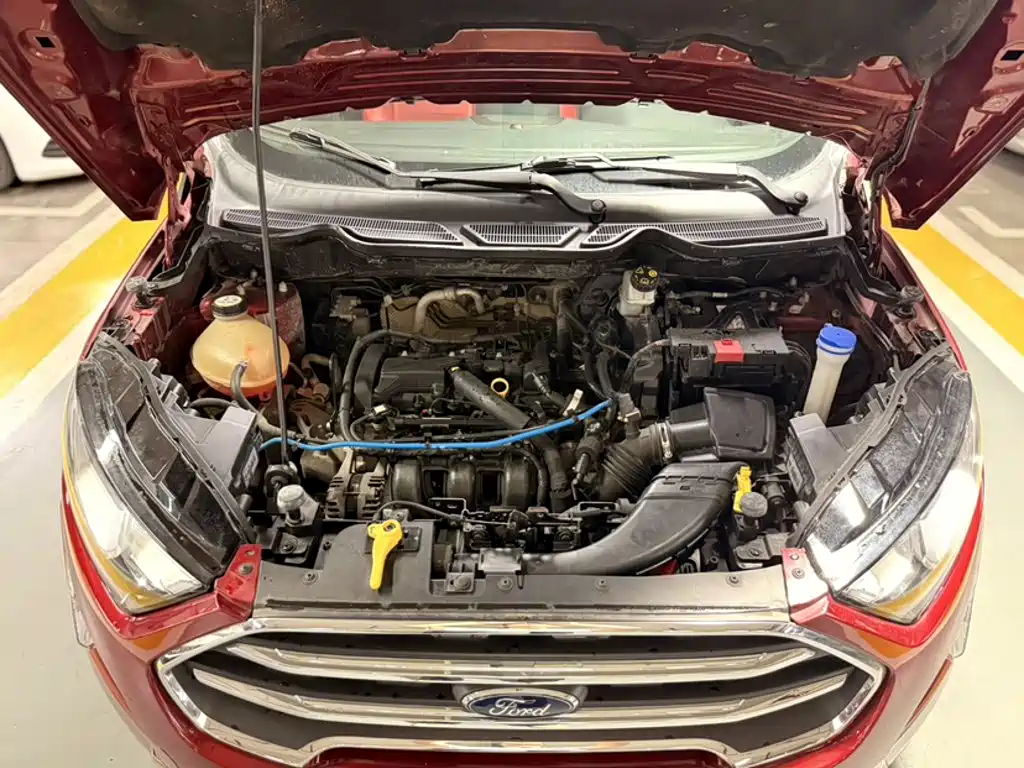 Ford Ecosport — фото 19