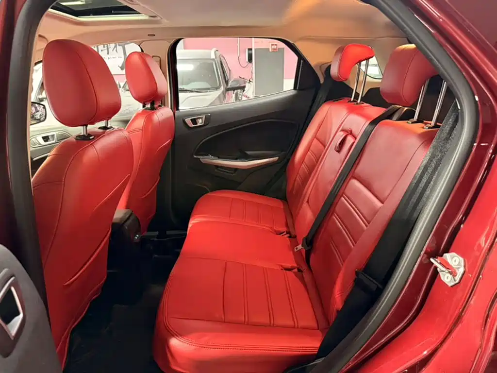 Ford Ecosport — фото 22
