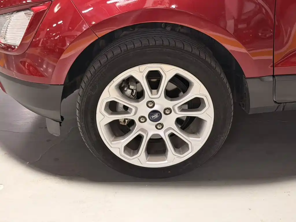 Ford Ecosport — фото 8