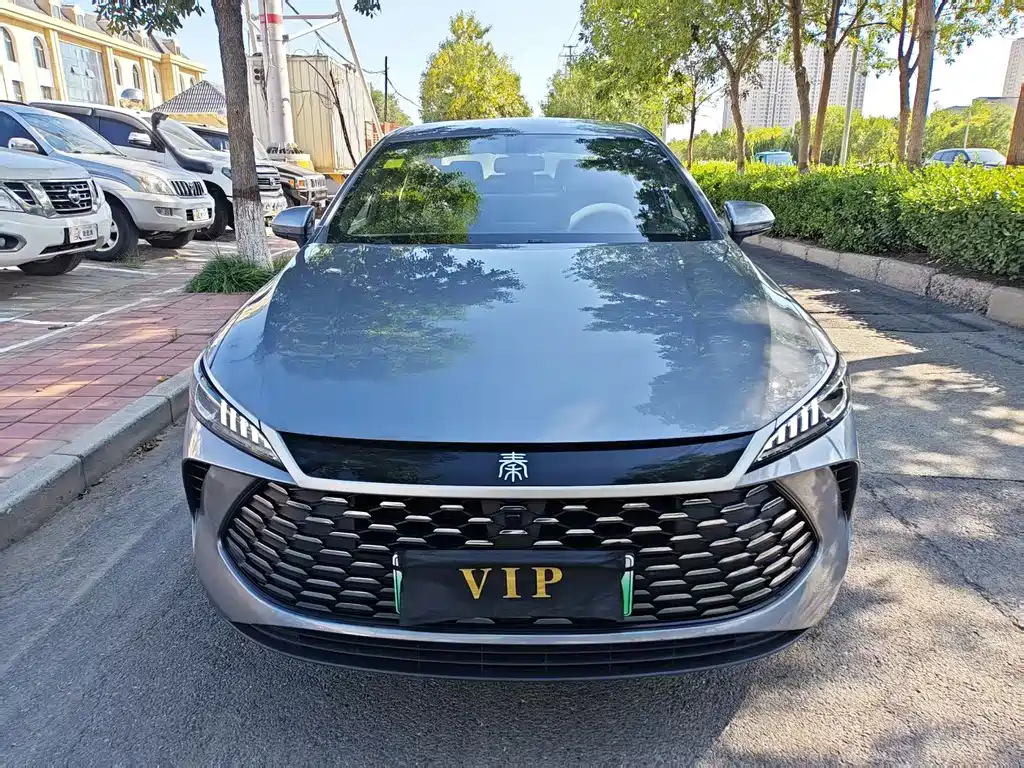 BYD Qin PLUS — фото 2