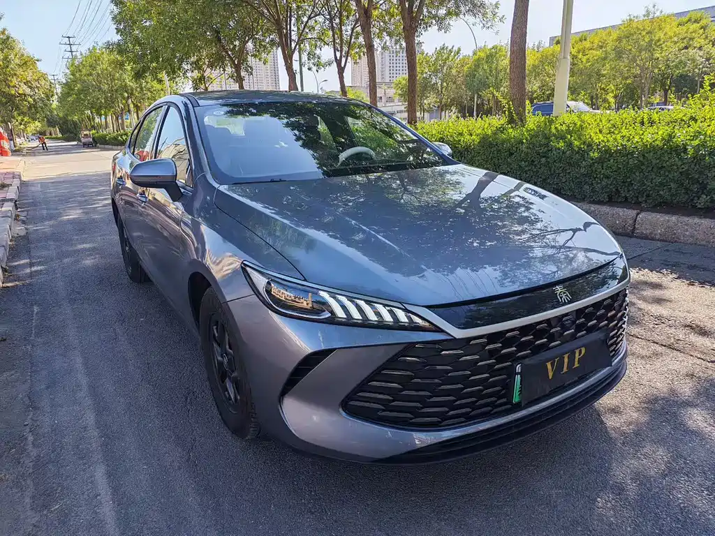 BYD Qin PLUS — фото 3
