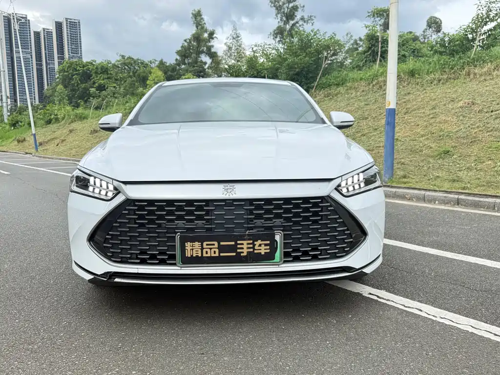 BYD Qin PLUS — фото 2