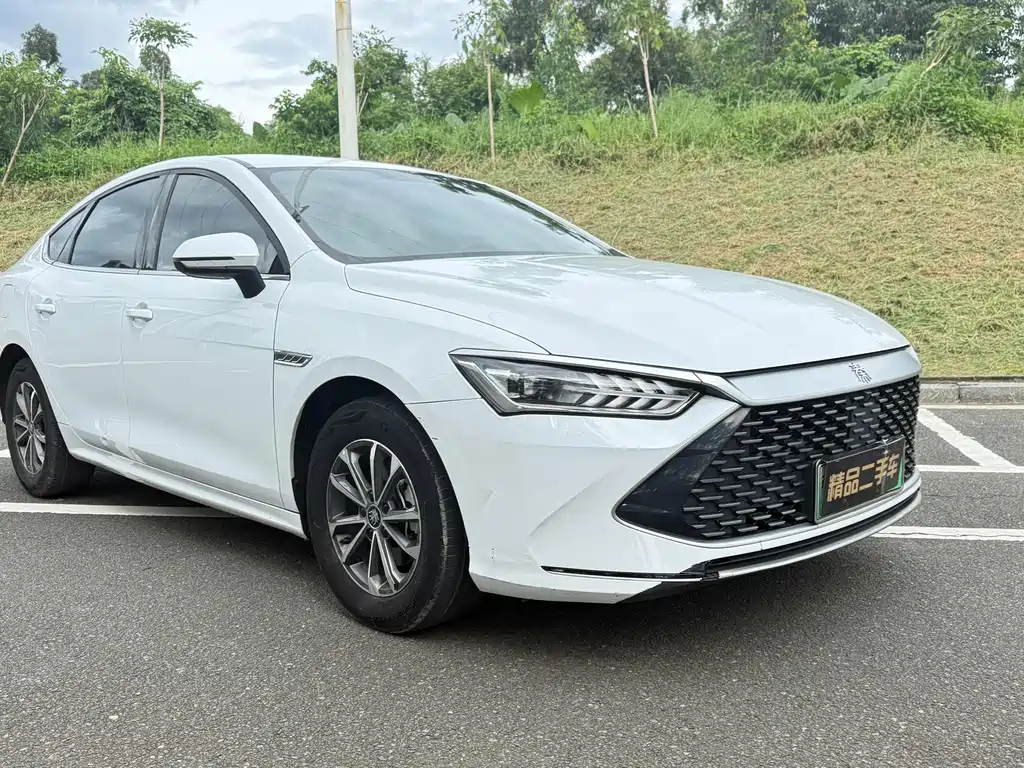BYD Qin PLUS — фото 3