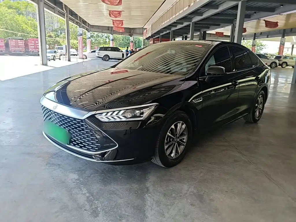 BYD Qin PLUS — фото 2