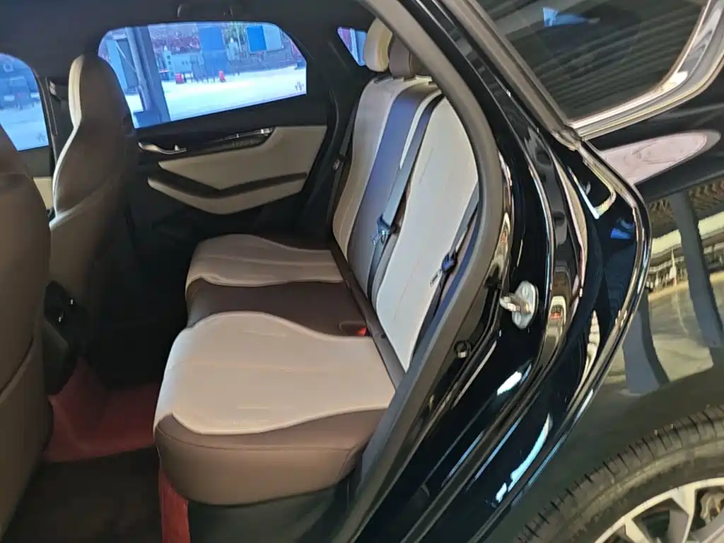 BYD Qin PLUS — фото 17