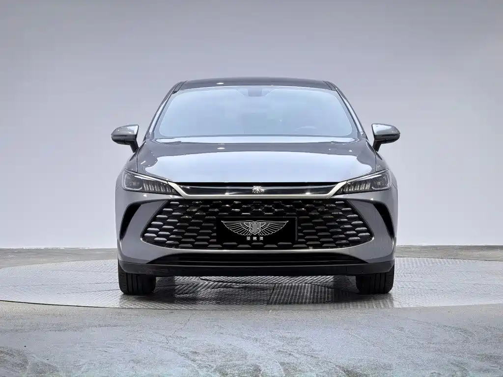 BYD Qin PLUS — фото 3
