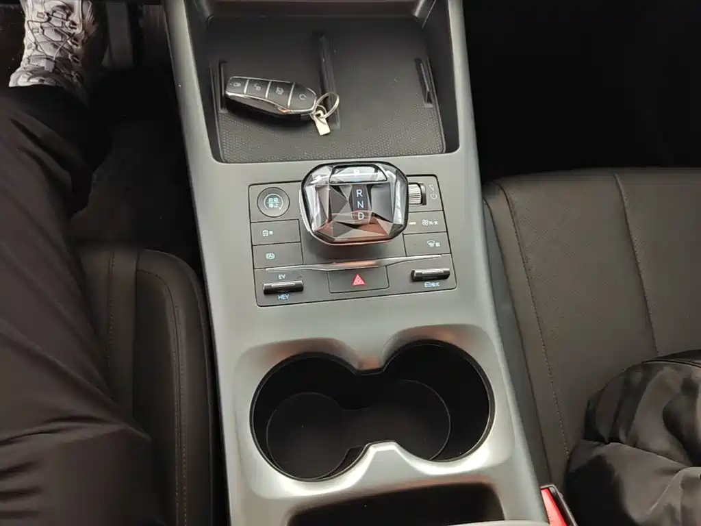 BYD Qin PLUS — фото 14