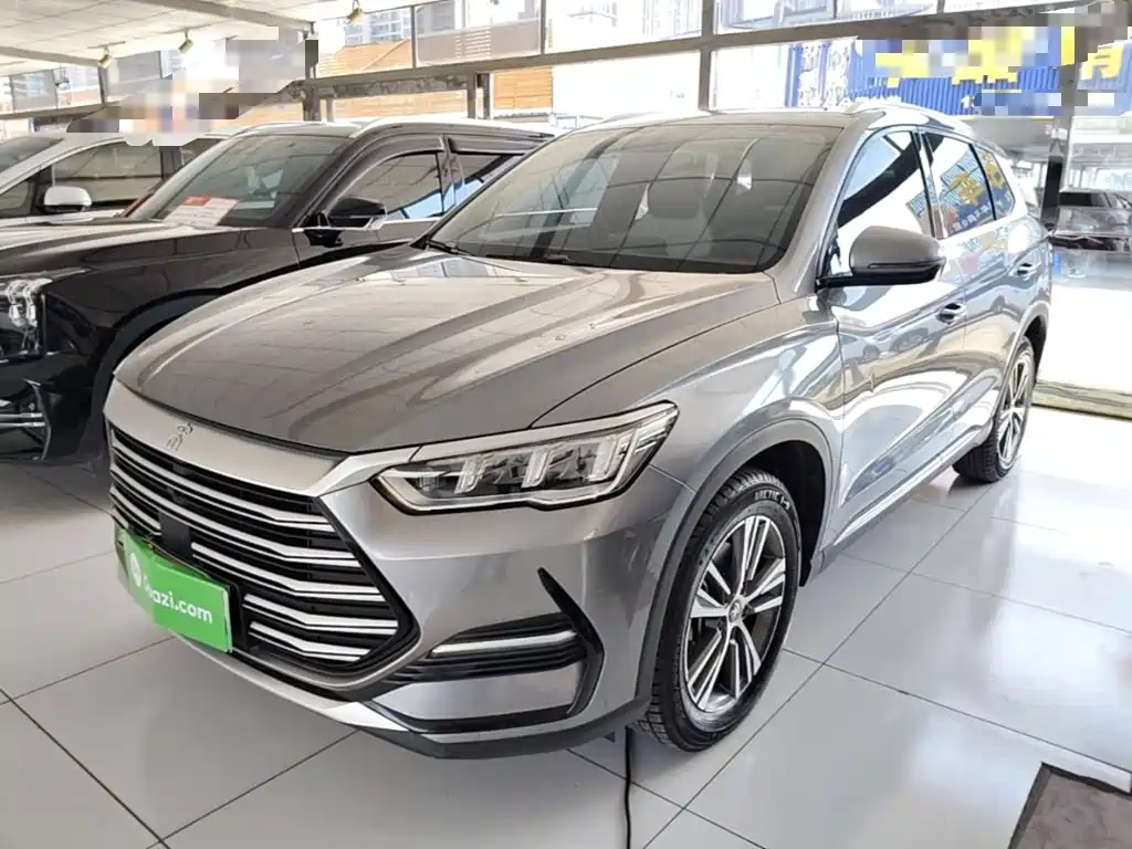 BYD Pro New Energy — фото 2