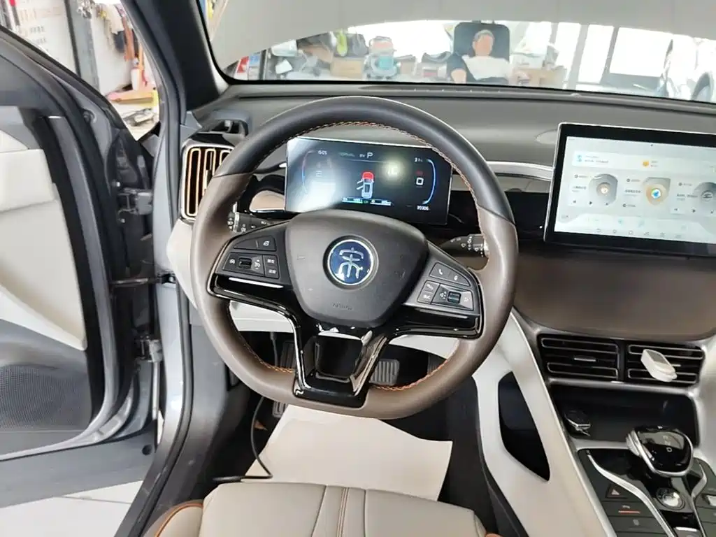 BYD Pro New Energy — фото 11