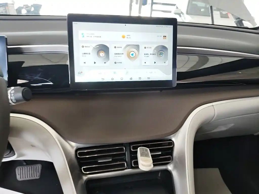 BYD Pro New Energy — фото 13
