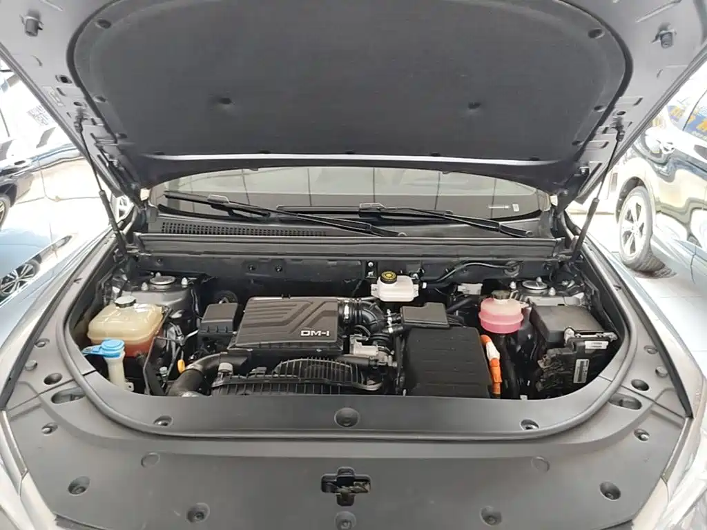 BYD Pro New Energy — фото 20