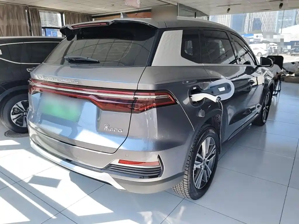 BYD Pro New Energy — фото 7