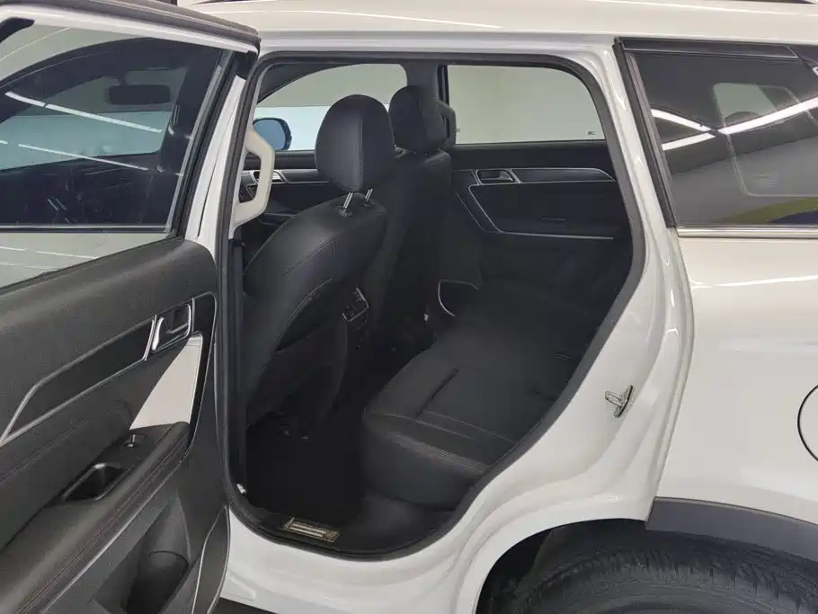 Haval H6 Coupe — фото 11