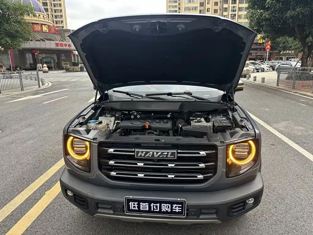 Haval Big Dog — фото 19