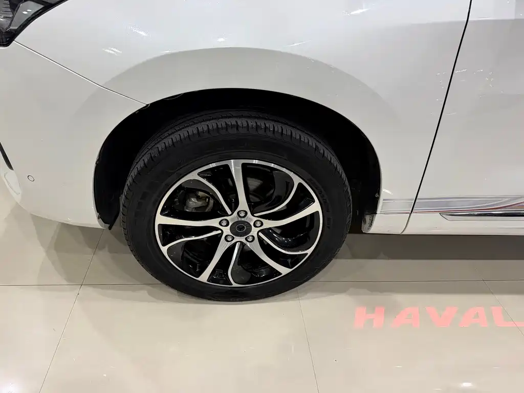 Haval H6 Coupe — фото 11