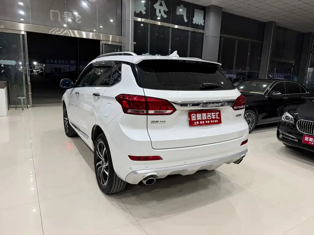 Haval H6 Coupe — фото 13
