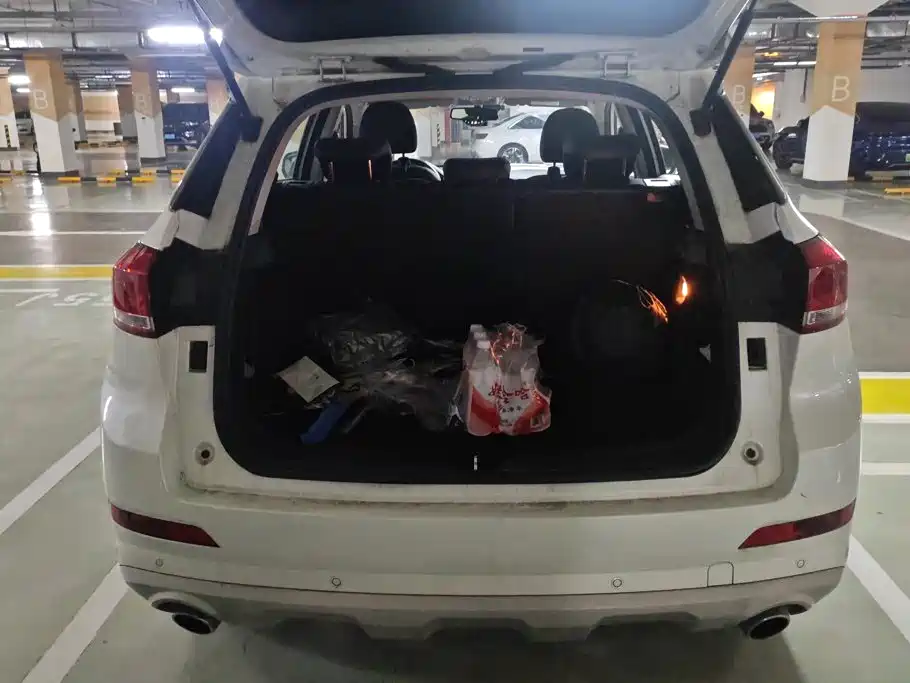 Haval H6 Coupe — фото 4