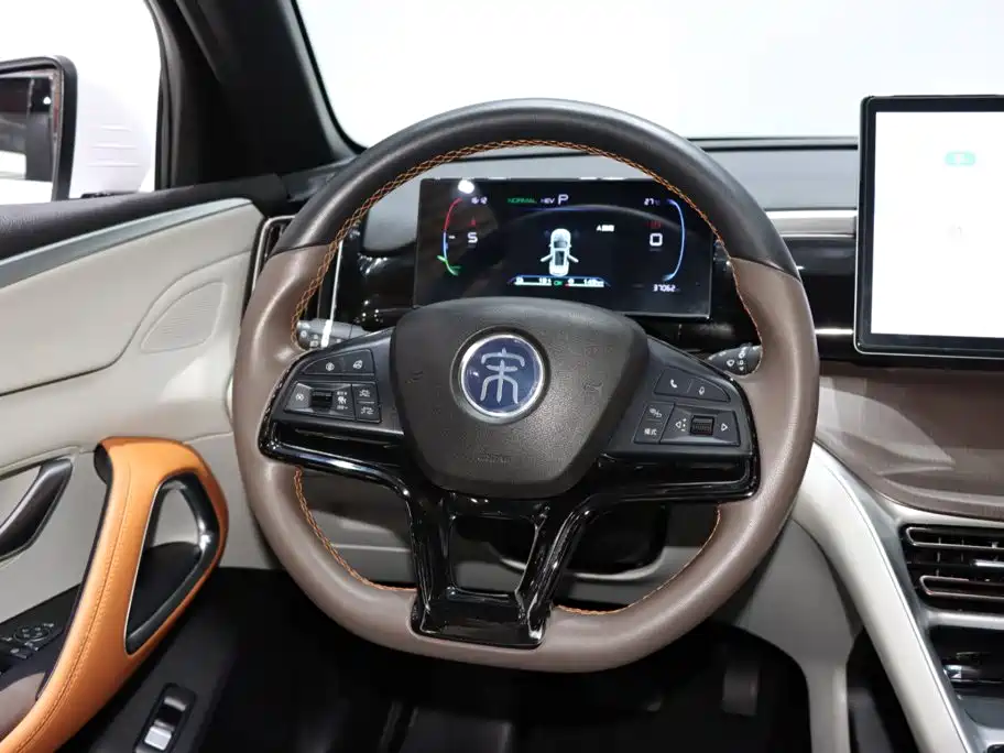 BYD Pro New Energy — фото 13