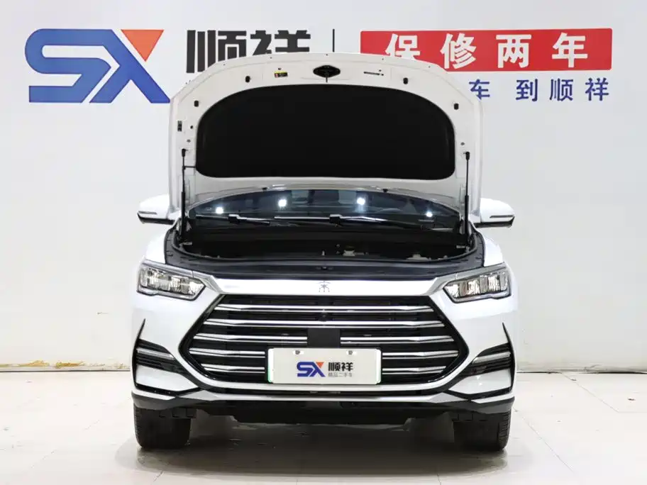 BYD Pro New Energy — фото 18